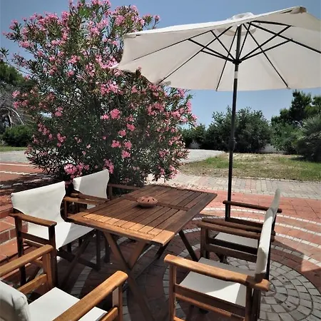 Kallithea Blue Paradise #32 *